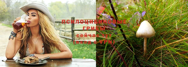spice Алексин