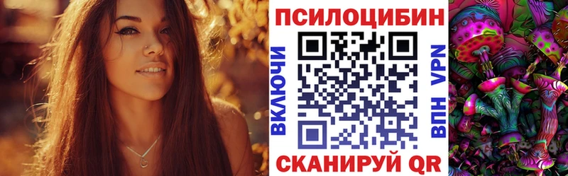 Псилоцибиновые грибы прущие грибы  ссылка на мегу рабочий сайт  Павловская  где можно купить  